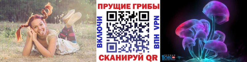 блэк спрут ссылка Нязепетровск Галлюциногенные грибы MAGIC MUSHROOMS